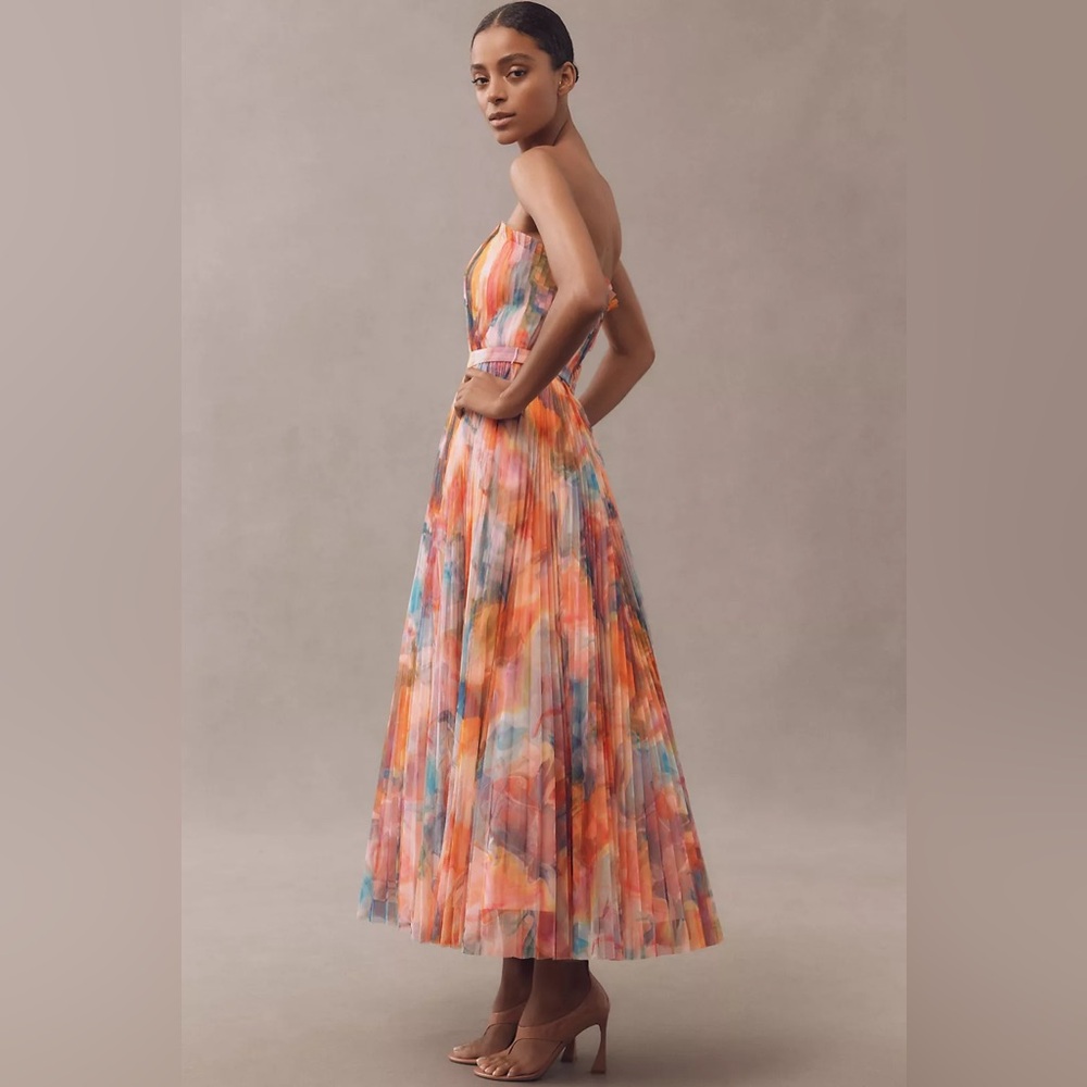 Hutch Strapless Pleated Chiffon Maxi Dress - Picture 4 of 4
